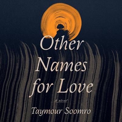 Other Names for Love by Taymour Soomro audiobook