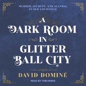 A Dark Room in Glitter Ball City by  David Dominé audiobook