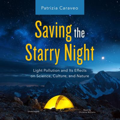 Saving the Starry Night by Patrizia Caraveo audiobook