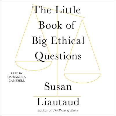 The Little Book of Big Ethical Questions by Susan Liautaud audiobook