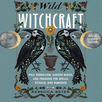 Wild Witchcraft by Rebecca Beyer audiobook