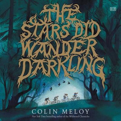 The Stars Did Wander Darkling by Colin Meloy audiobook