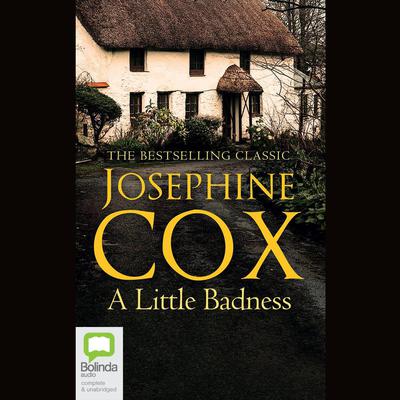 A Little Badness by Josephine Cox audiobook