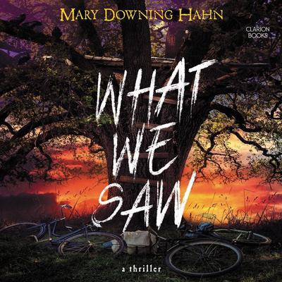 What We Saw by Mary Downing Hahn audiobook