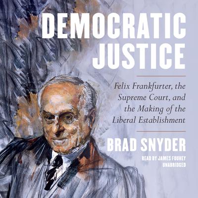 Democratic Justice by Brad Snyder audiobook