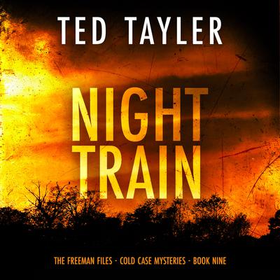 Night Train by Ted Tayler audiobook
