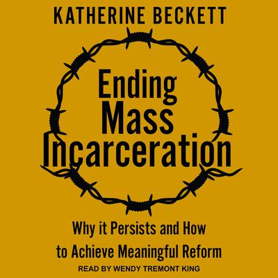 Ending Mass Incarceration by Katherine Beckett audiobook