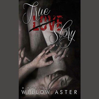 True Love Story by Willow Aster audiobook
