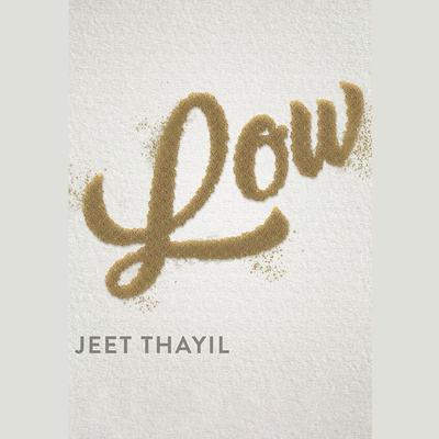 Low by Jeet Thayil audiobook