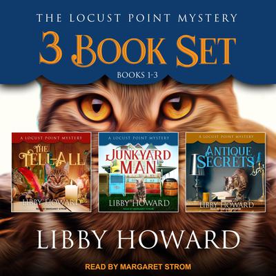 Locust Point Mystery 3 Book Set by Libby Howard audiobook