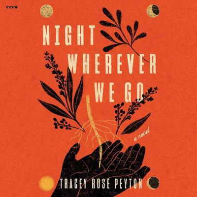 Night Wherever We Go by Tracey Rose Peyton audiobook