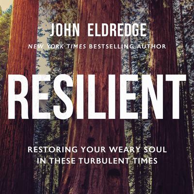 Resilient by John Eldredge audiobook
