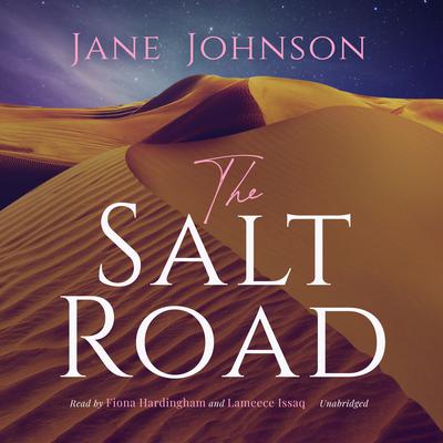 The Salt Road by Jane Johnson audiobook
