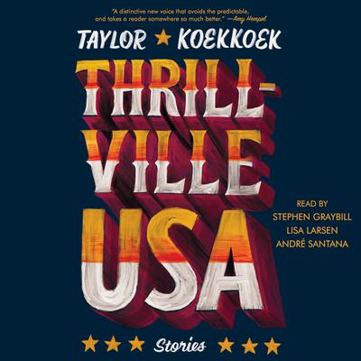 Thrillville, USA by Taylor Koekkoek audiobook