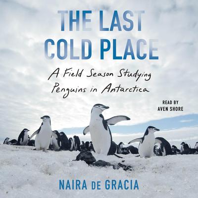 The Last Cold Place by Naira de Gracia audiobook