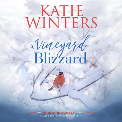 A Vineyard Blizzard by Katie Winters audiobook