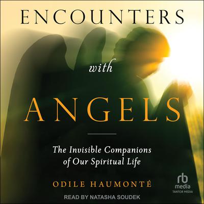 Encounters with Angels by Odile Haumonte audiobook