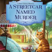 A Streetcar Named Murder by  T.G. Herren audiobook