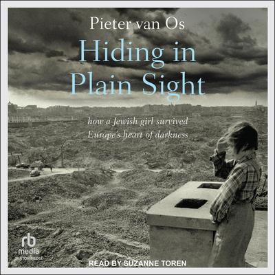 Hiding in Plain Sight by Pieter van Os audiobook