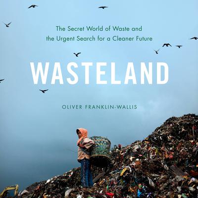 Wasteland by Oliver Franklin-Wallis audiobook