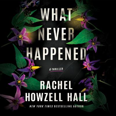 What Never Happened by Rachel Howzell Hall audiobook