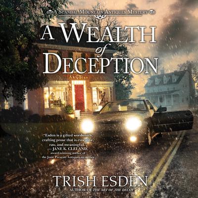 A Wealth of Deception by Trish Esden audiobook