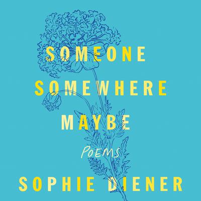 Someone Somewhere Maybe by Sophie Diener audiobook