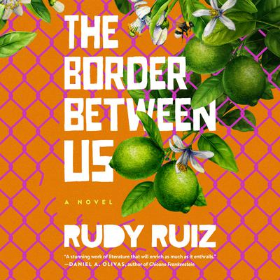 The Border Between Us by Rudy Ruiz audiobook