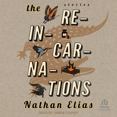 The Reincarnations by Nathan Elias audiobook