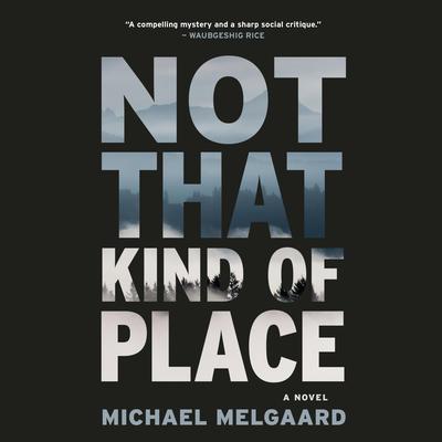 Not That Kind of Place by Michael Melgaard audiobook