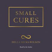 Small Cures by  Della Hicks-Wilson audiobook
