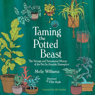 Taming the Potted Beast by Molly Williams audiobook