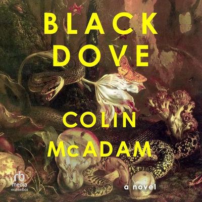 Black Dove by Colin McAdam audiobook