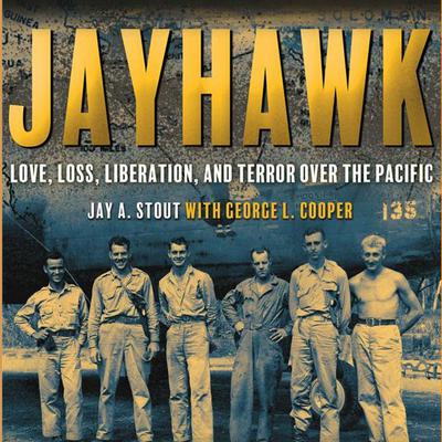 Jayhawk by Jay A. Stout audiobook