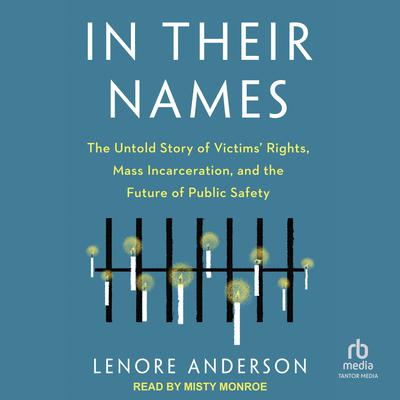 In Their Names by Lenore Anderson audiobook