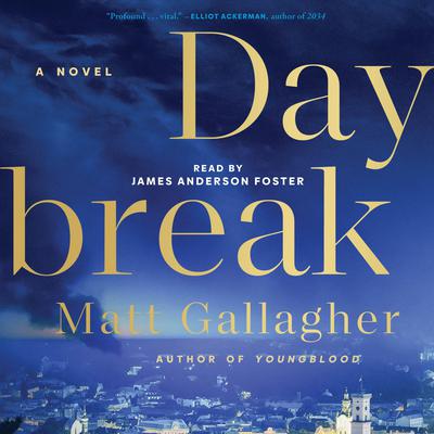 Daybreak by Matt Gallagher audiobook