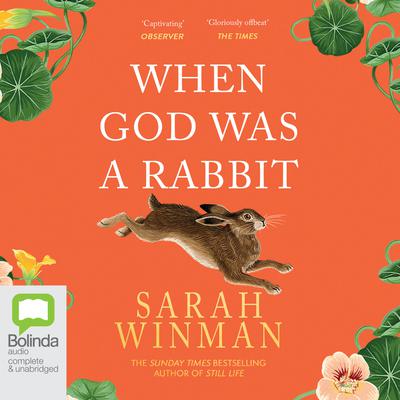When God Was a Rabbit by Sarah Winman audiobook