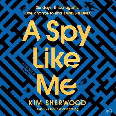 A Spy Like Me by Kim Sherwood audiobook