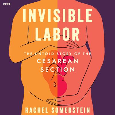 Invisible Labor by Rachel Somerstein audiobook