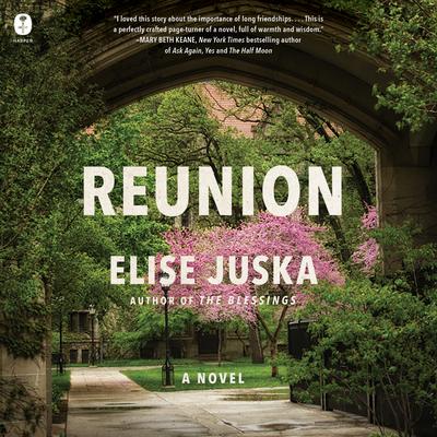 Reunion by Elise Juska audiobook