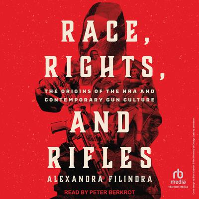 Race, Rights, and Rifles by Alexandra Filindra audiobook