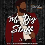 Mr. Big Stuff by  Aja audiobook