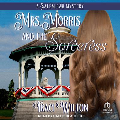 Mrs. Morris and the Sorceress by Traci Wilton audiobook