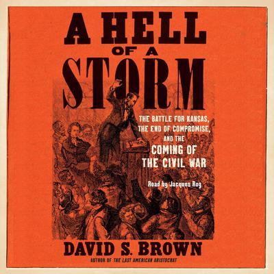 A Hell of a Storm by David S. Brown audiobook