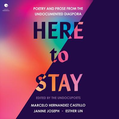Here to Stay by Marcelo Hernandez Castillo audiobook