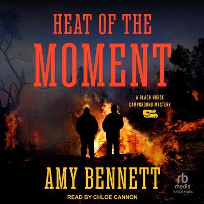 Heat of the Moment by Amy Bennett audiobook
