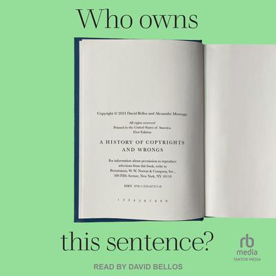 Who Owns This Sentence? by David Bellos audiobook
