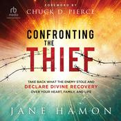 Confronting the Thief by  Jane Hamon audiobook