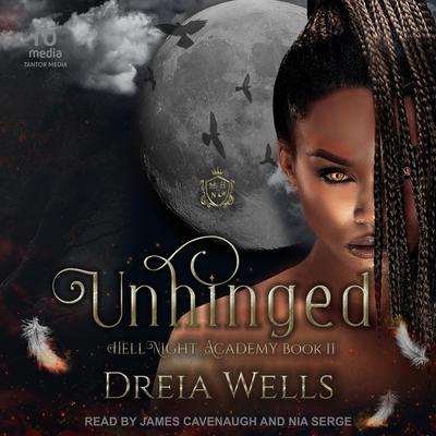 Unhinged by Dreia Wells audiobook