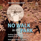 No Walk in the Park by  Michael Engelhard audiobook